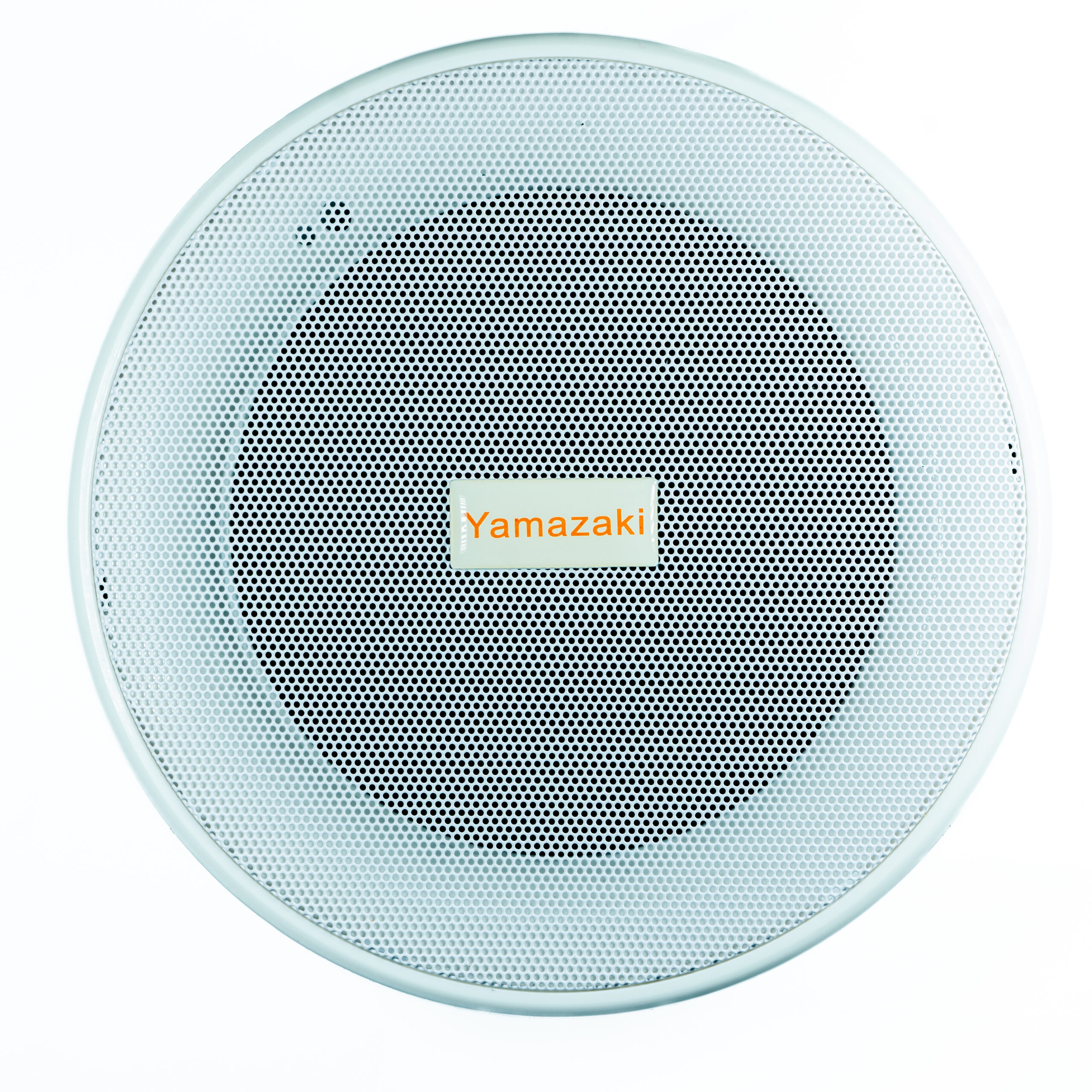 ALTAVOZ AMBIENTAL DE TECHO M-305